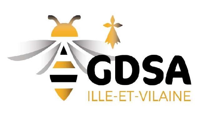 logo gdsa2024